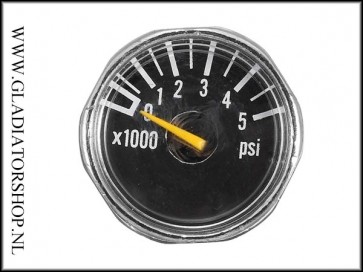 Regulator micro gauge 5000 psi