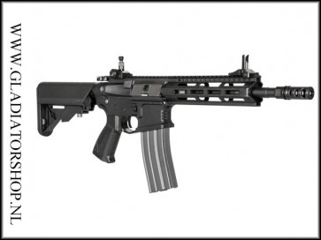 G&G CM16 Raider 2.0