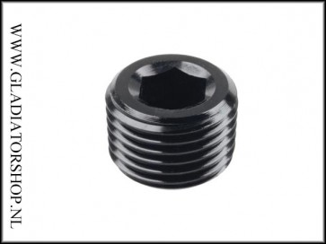 1/8 NPT Plug