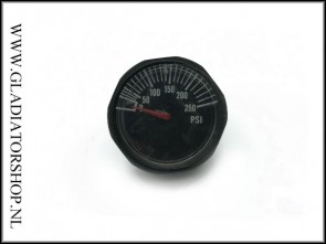 regulator micro gauge 250 psi