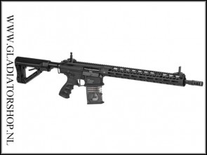G&G TR16 MBR 308 DMR | MLOK | S-AEG