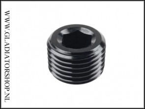 1/8 NPT Plug