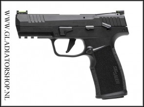 SIG Sauer P322 - .22LR